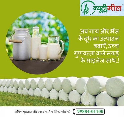 Silage Provider In Punjab